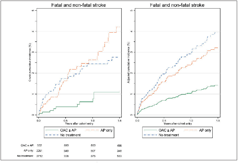 Figure 3 Crude and adjusted cumulative incidence of stroke by antithrombotic treatment