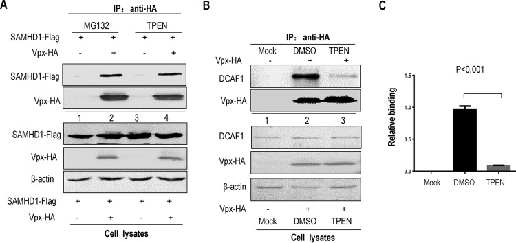 FIG 6