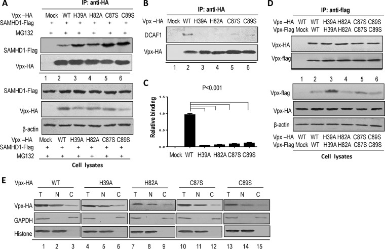 FIG 3