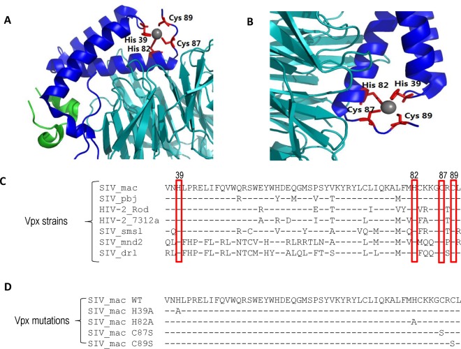 FIG 1