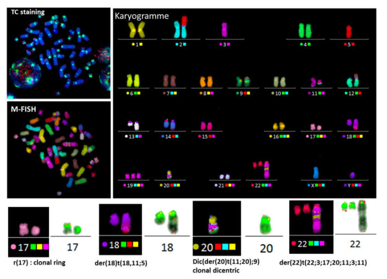 Figure 6