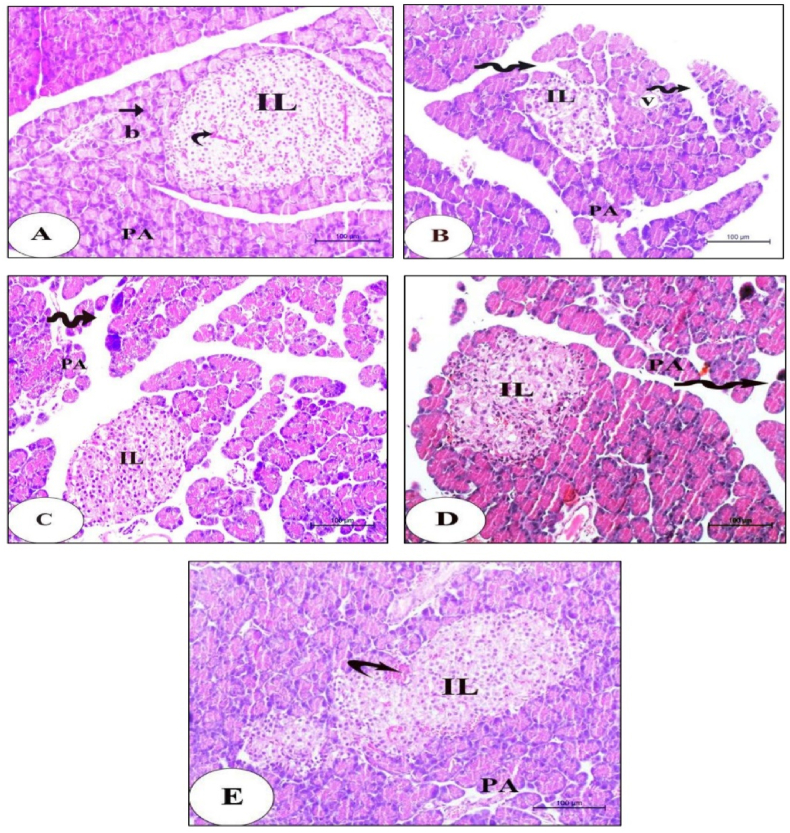 Fig. 4