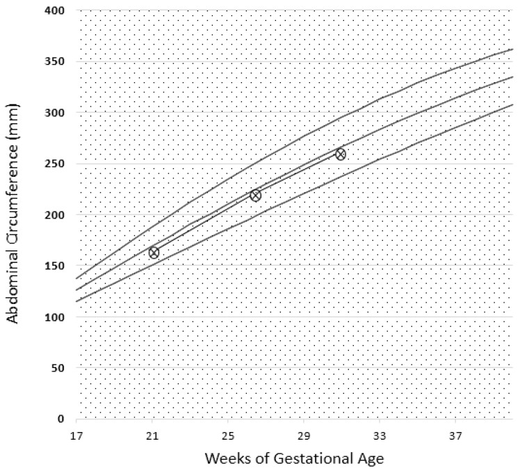 Figure 7