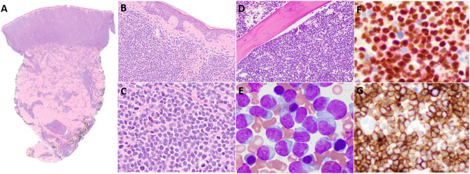 Fig. 2