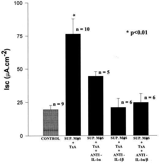 FIG. 6