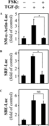 <b>Figure 6.</b>