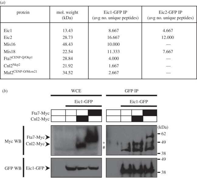 Figure 7.