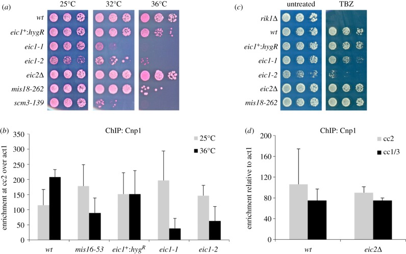 Figure 3.