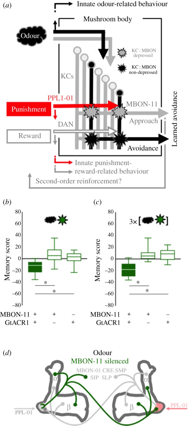 Figure 1.