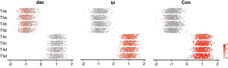 Figure 3—figure supplement 1.