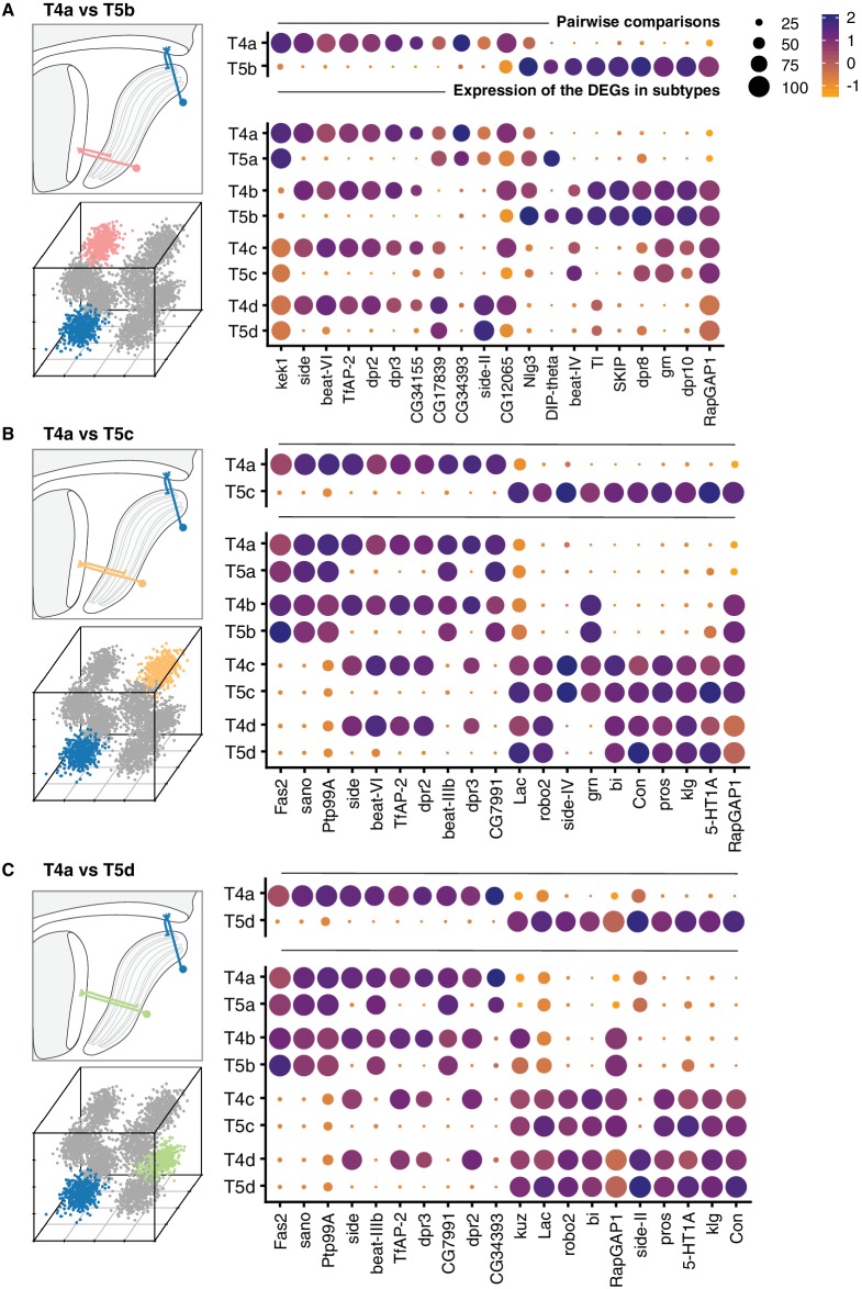 Figure 4—figure supplement 1.