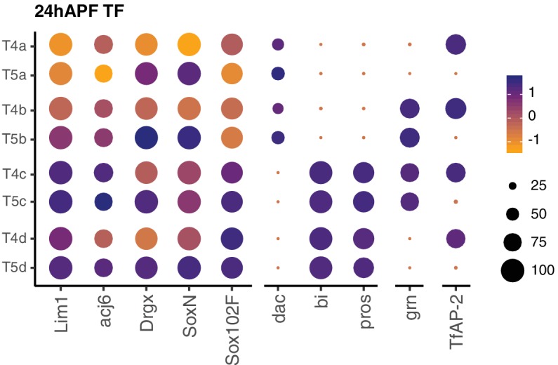 Figure 7—figure supplement 1.