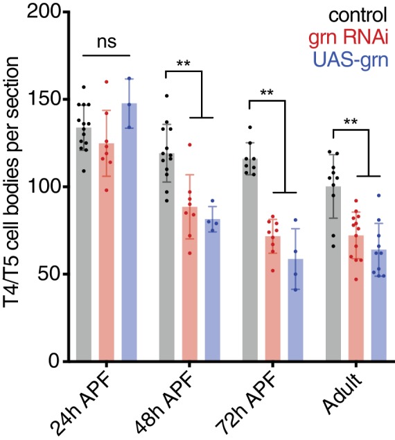 Figure 6—figure supplement 2.