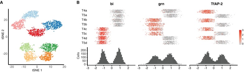 Figure 5—figure supplement 1.