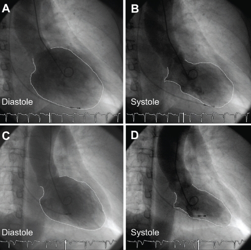 Figure 6)