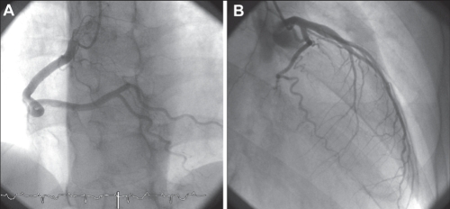 Figure 3)