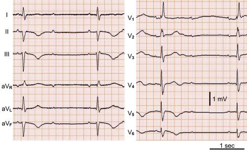 Figure 4)