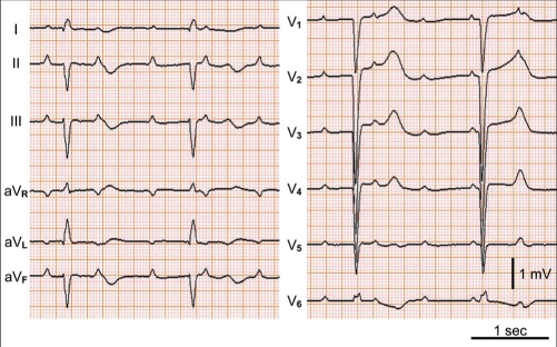 Figure 1)