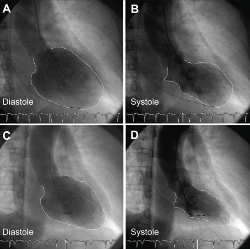 Figure 2)