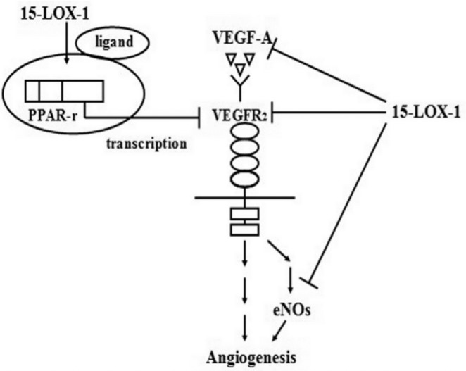 Figure 8