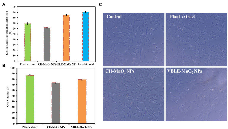 Figure 11