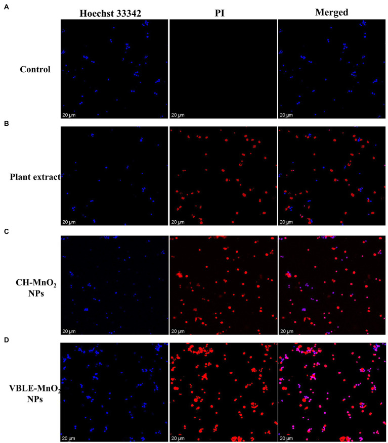 Figure 10