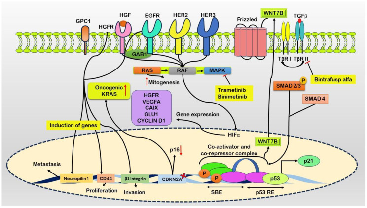 Figure 1