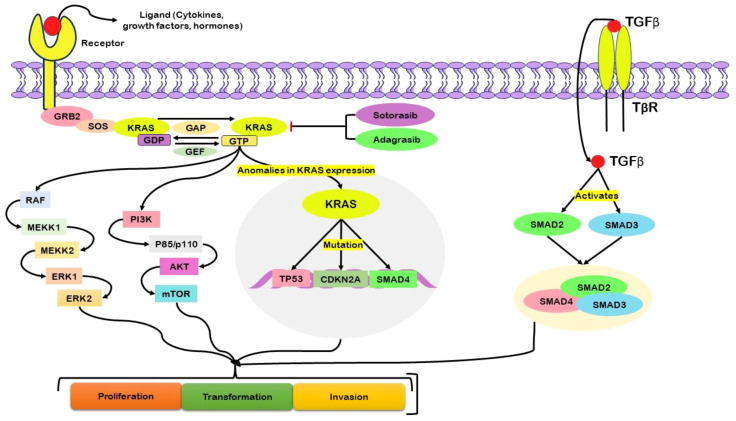 Figure 2