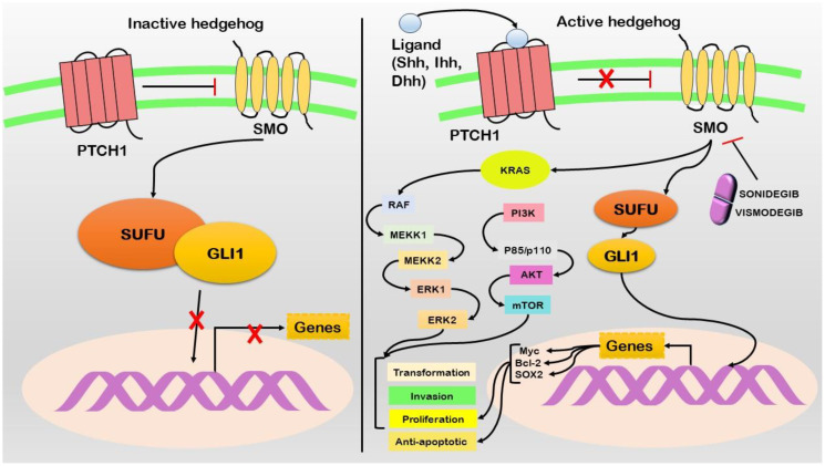 Figure 4