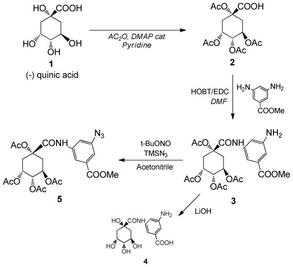 Scheme 1