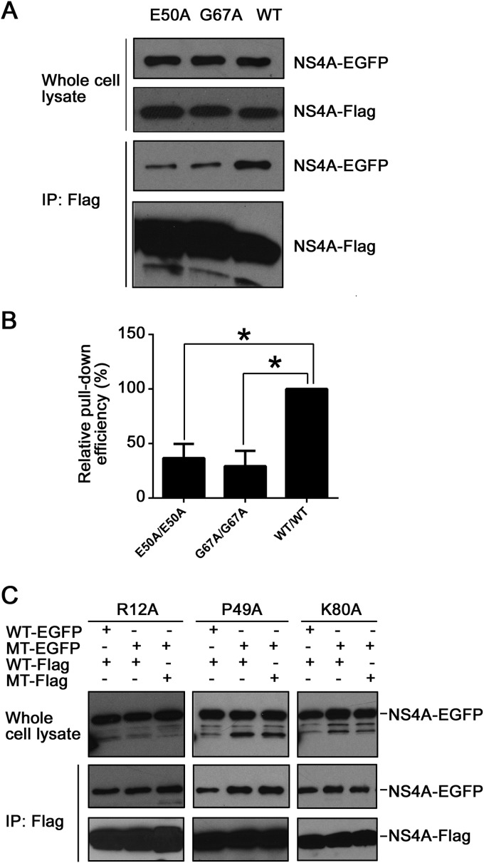 FIG 6