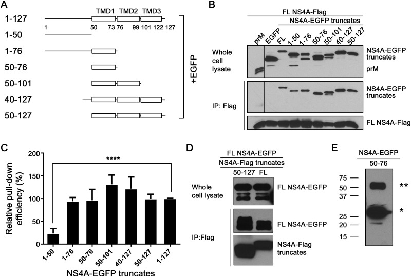 FIG 2