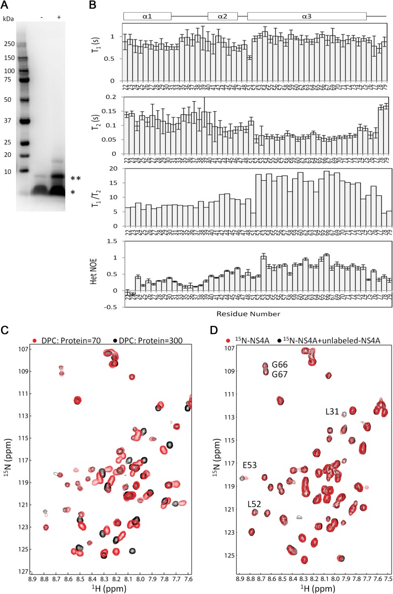 FIG 3