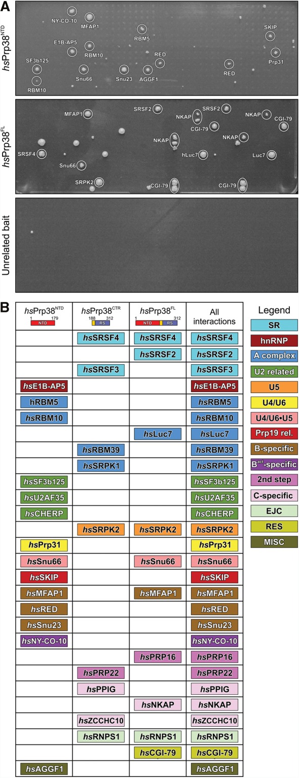 FIGURE 3.