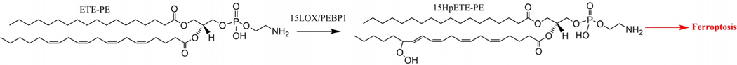 Scheme 1.