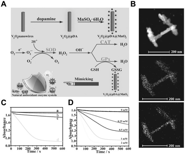 FIGURE 17