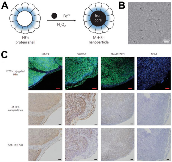 FIGURE 16