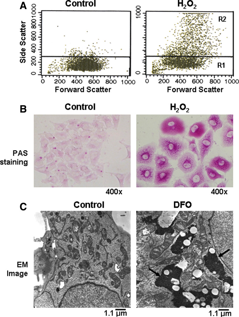 Fig. 3