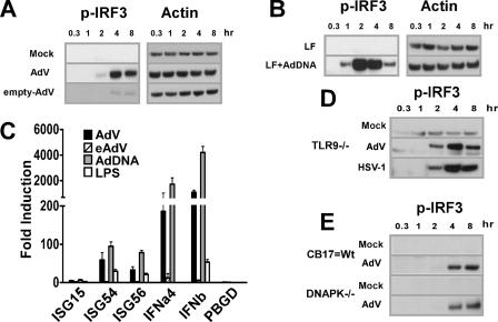 FIG. 6.