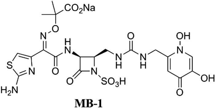 FIG 1