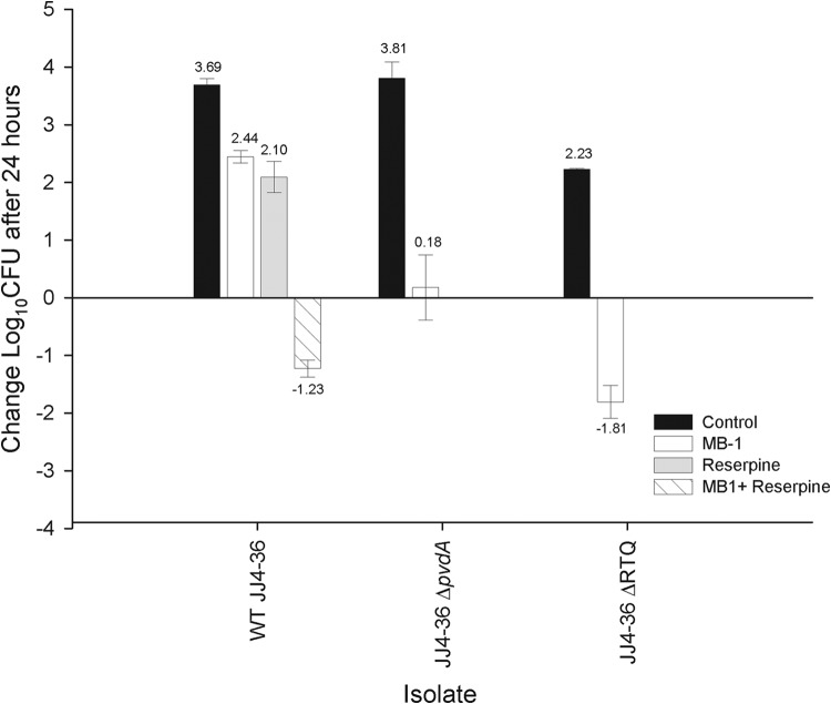 FIG 2