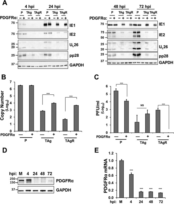 FIG 4