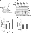 FIG 6