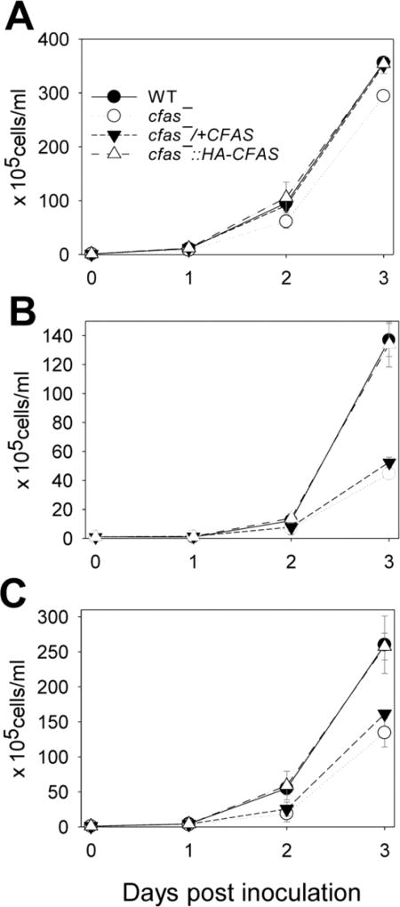 Fig. 5