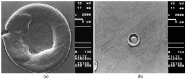 Figure 8