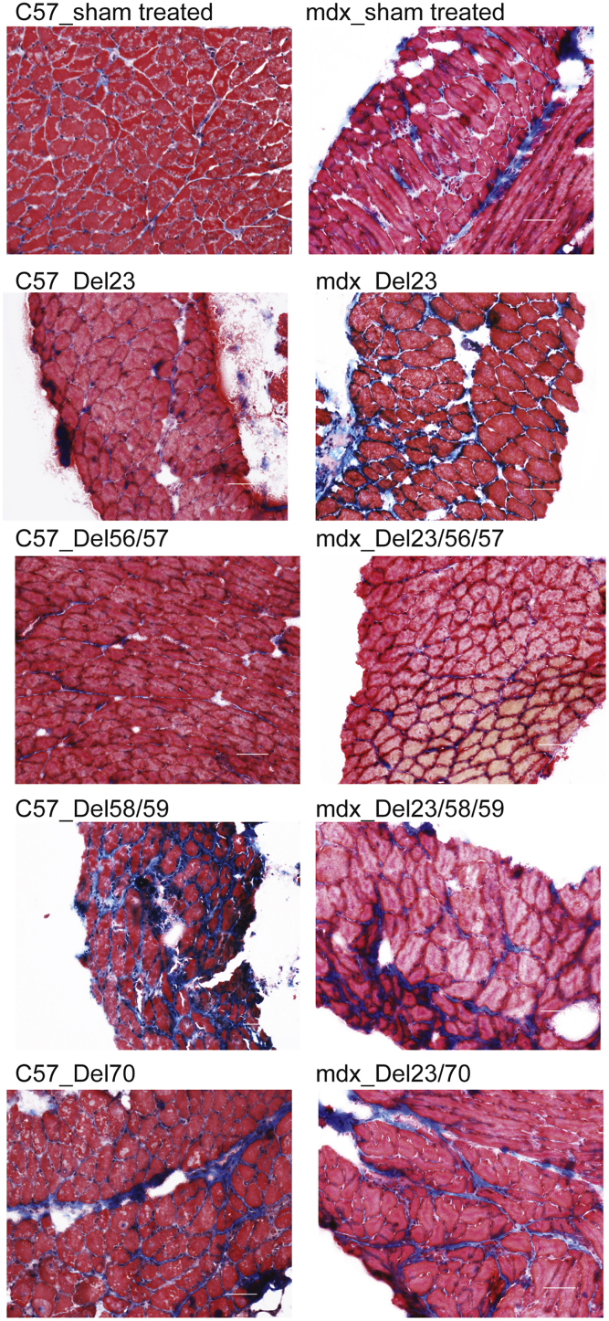 Figure 6