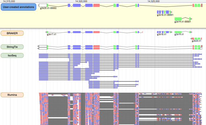 Figure 2: