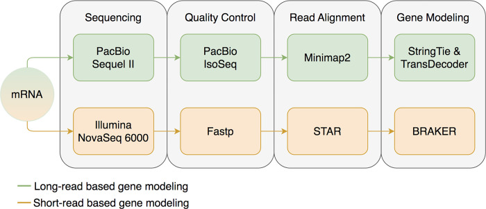 Figure 1: