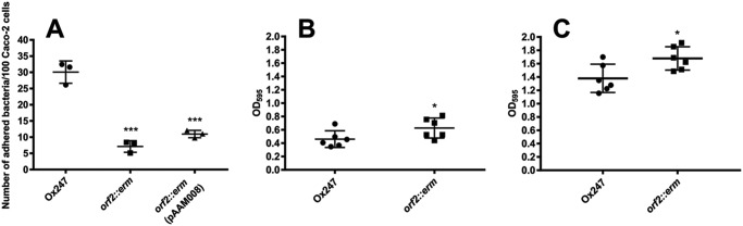 Figure 12.