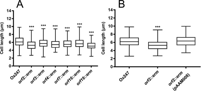 Figure 10.